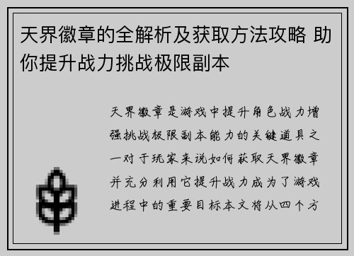 天界徽章的全解析及获取方法攻略 助你提升战力挑战极限副本 天界徽章的全解析及获取方法攻略 助你提升战力挑战极限副本